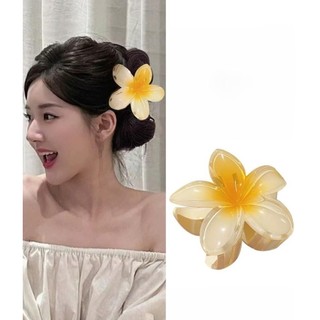 Kẹp tóc hoa sứ trong suốt giá rẻ LAGU kẹp càng cua đẹp cho nữ đẹp hottrend nhiều màu sắc phong cách Hawaii cặp búi tóc