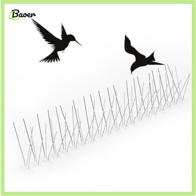 Giá thanh lý Bird Repeller Dove Deterrent Nail 50cm Thiết bị chống chim với 60 gai