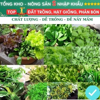 Hạt giống rau ăn lá F1 loại dễ trồng nảy mầm tốt dễ thu hoạch