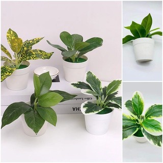 Bình hoa gốm sáng tạo Bình hoa hình không đều Trang trí máy tính để bàn tại nhà