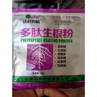 Thuốc kích rễ - ươm cành polypeptide rooting powder tách túi zip 10g