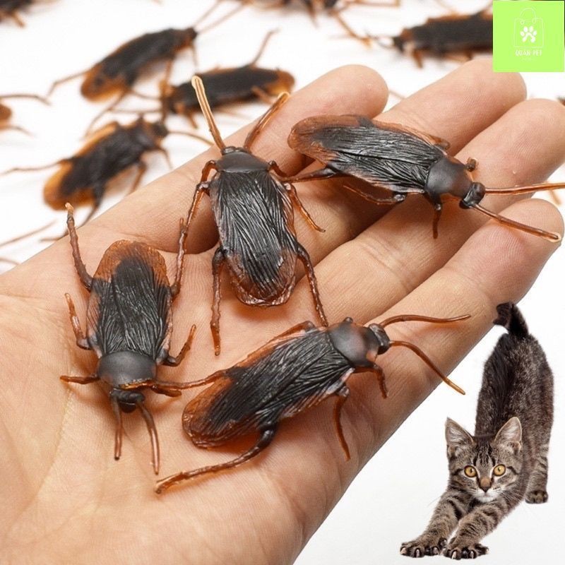 Đồ chơi con gián cho thú cưng xã stress