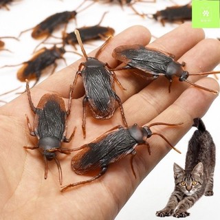 Đồ chơi con gián cho thú cưng xã stress