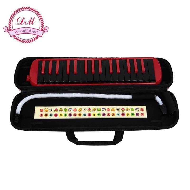 1 Bộ Hộp Đàn Piano Người Mới Bắt Đầu Giảng Dạy Nhạc Cụ Đỏ Và Đen