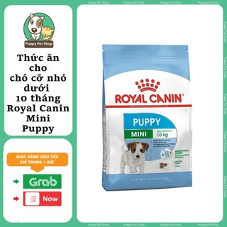 Royal Canin Mini Adult Thức Ăn Cho Dòng Chó Nhỏ Trên 12 Tháng Tuổi