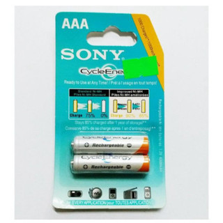 Pin sạc aa 1.2v 4600mah vỉ 2 viên cao cấp