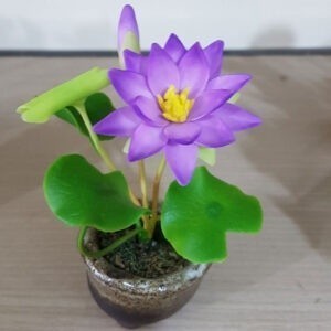 Củ súng mini củ hoa súng thái ini sen mini tự chọn - đã xử lý hạt đảm bảo nảy mầm 99% - củ giống 19