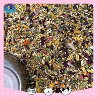 Thức ăn trộn cơ bản hamster 200-500g