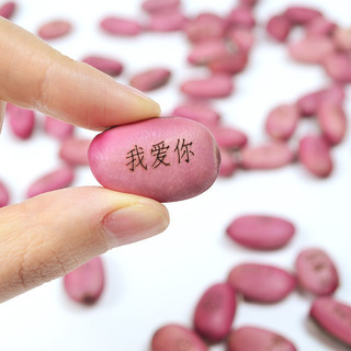 Love Magic Bean Red Bean Magic Bean Seed Cây Mini mới lạ
