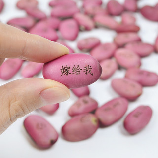 Love Magic Bean Red Bean Magic Bean Seed Cây Mini mới lạ