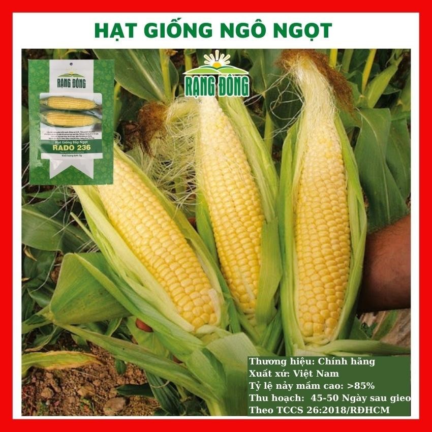 Hạt giống ngô ngọt (bắp ngọt) - GÓI 20 HẠT DATVIET SEED