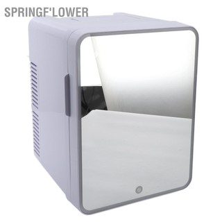 SpringF'lower Tủ lạnh làm đẹp có gương chuyên nghiệp Hiệu quả năng lượng thấp chăm sóc da 10L đèn LED cho phòng ngủ văn ký túc xá 100‑240V