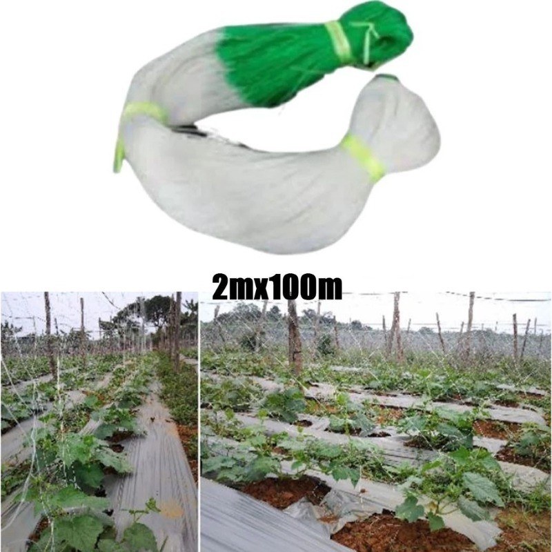 2M X 100M Giàn Lưới Hỗ Trợ Trồng Cây Dây Leo,Lưới Làm Giàn Cây Leo: Dưa Chuột, Khổ Qua, Mướp, Bầu Bí