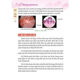 Sách - Đông y thiệt chuẩn (bìa mềm) - (MT)