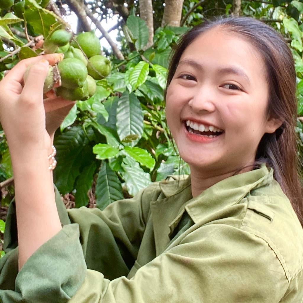 Hạt Macca nứt vỏ Organic Daklak giòn tan không hôi dầu kèm tách vỏ túi zip 1kg từ mắc ca Trang Ở Dak