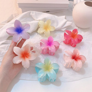 Kẹp tóc cỡ lớn hình hoa màu gradient thời trang cho nữ