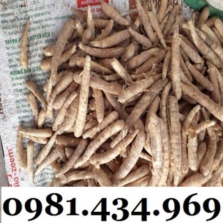 Củ Bình Tinh (Dong Đao, Dong Tróc, Mì Tinh) 01KG Chất Chuẩn Chất