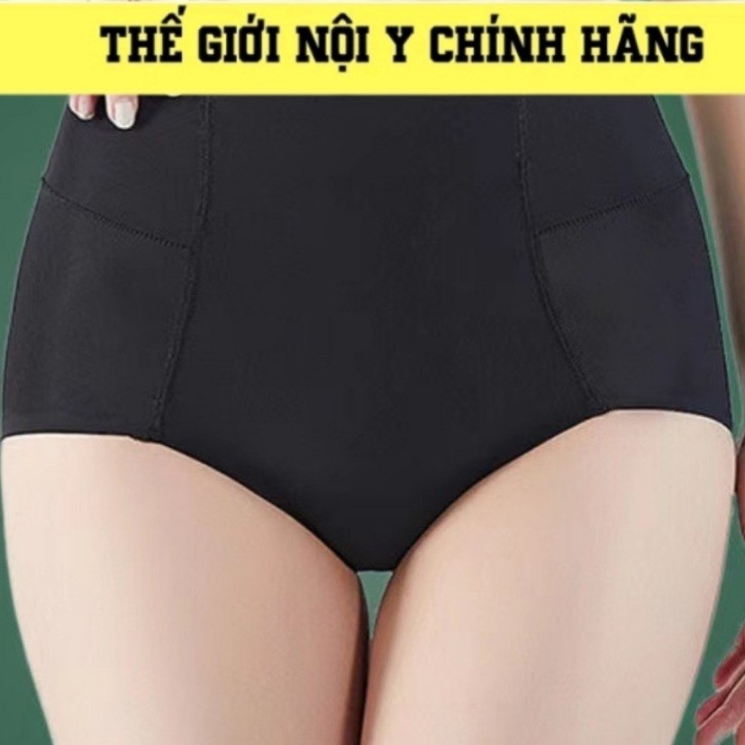 Quần Độn Mông Đẳng Cấp DM25 MB mabelle Nhập khẩu