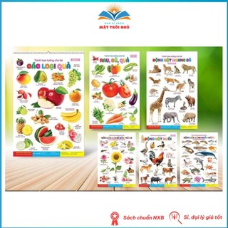 Bộ Tranh Học Treo Tường Song Ngữ Anh Việt 14 Chủ Đề - Cho Bé 0 6 Tuổi - Quét Mã QR