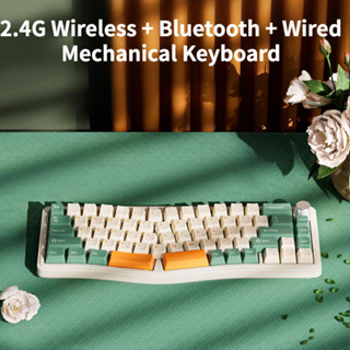 Ajazz AKS068pro Bàn phím cơ RGB Alice ba chế độ Trao đổi nóng Cấu trúc đệm 2.4G Bluetooth không dây VIA Trò chơi văn phòng tùy chỉnh Bé trai