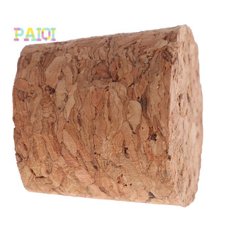 [PAIQI] 10 Chiếc Rượu Thủy Tinh Nút Chặn Ấm Siêu Tốc Pudding Hộp Đựng Nút Chai Burette MỚI