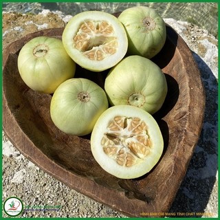 Hạt giống Dưa lê F1 