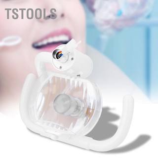TSTOOLS Đèn miệng lạnh halogen vuông 50W dành cho ghế đơn vị nha sĩ