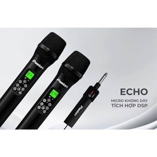 Micro không dây đa năng Paramax Pasion Echo tích hợp DSP - Hàng Chính Hãng - Kaka Shop