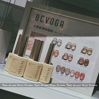 Set mắt mèo BC VOGA (12 màu)