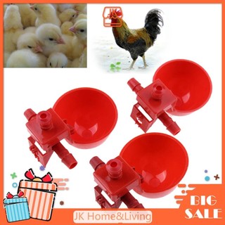 10 Máng Uống Nước Tự Động Cho Chim