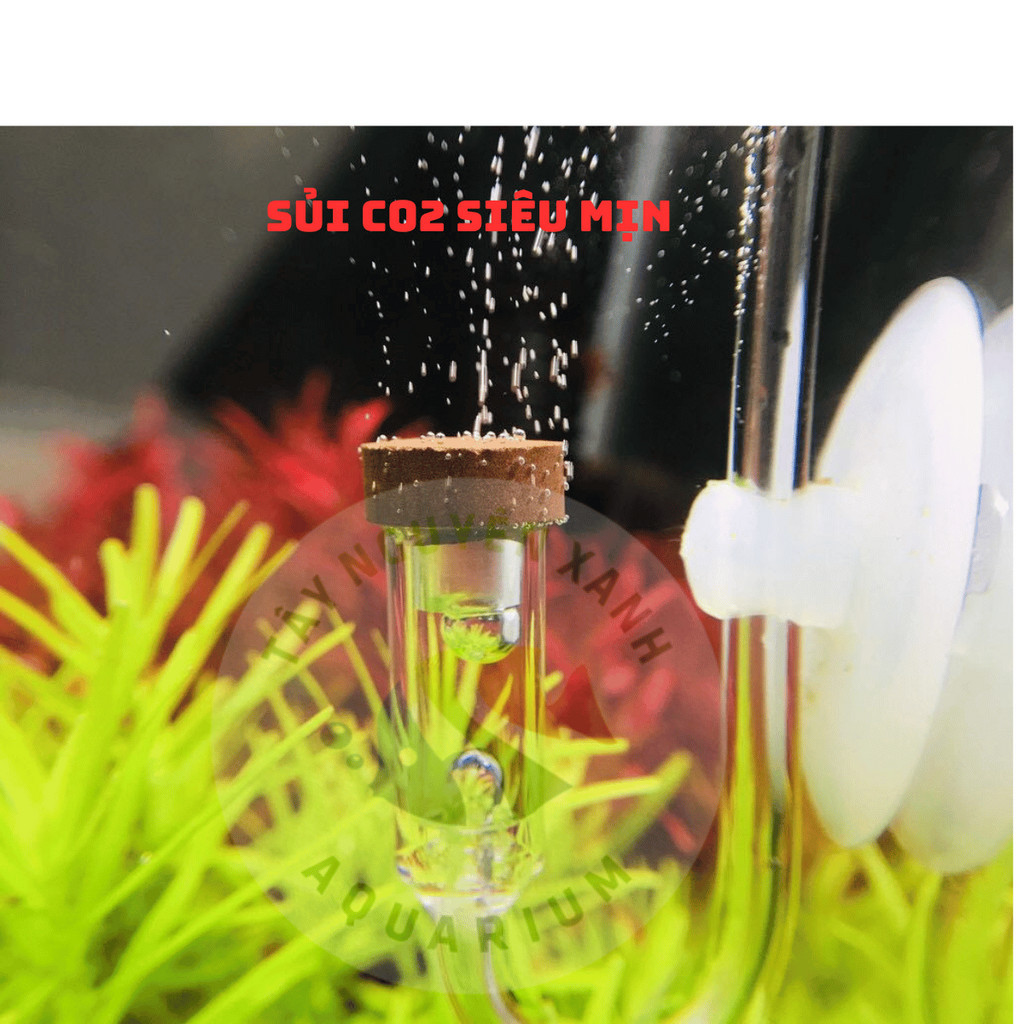[Giá hủy diệt] Sủi Co2 siêu mịn AquaPro nhập khẩu từ Taiwan