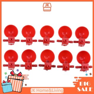 10 Máng Uống Nước Tự Động Cho Chim