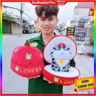 Comboo gấu bông trong trái táo độc lạ