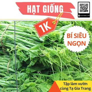 2 Hạt giống bí siêu ngọn - Tập làm vườn cùng Tạ Gia Trang