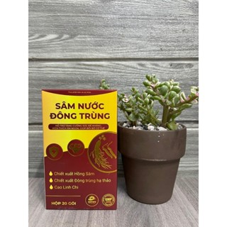 Nước Hồng Sâm Đông Trùng Hạ Thảo Giúp Bồi Bổ Cơ Thể, Tăng Sức Khỏe