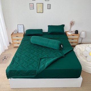 Bộ chăn ga gối REE Bedding XANH RÊU chần bông chất thun lạnh TL262 đủ size giường nệm M4