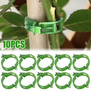 10 Chiếc Kẹp Cây Kết Nối Có Thể Tái Sử Dụng Ghép Cố Định Khóa Hỗ Trợ Vật Dụng Làm Vườn