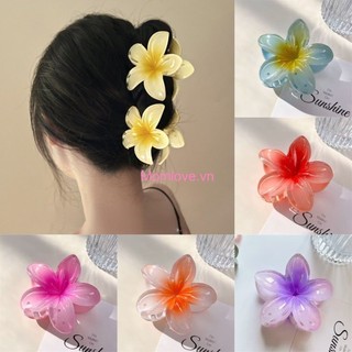  Kẹp Tóc Hoa Hawaii Hàn Quốc 8CM Kẹp Acrylic Clam Đi Biển Mùa Hè Nữ Kẹp Cá Mập Bé Gái Kẹp Tóc Đuôi Ngựa Ngọt Ngào