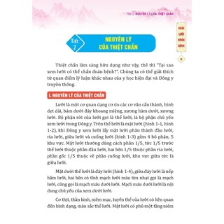 Sách - Đông y thiệt chuẩn (bìa mềm) - (MT)