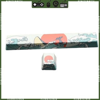 Sta 2 phím oem profile custom keycaps pbt dye sub space esc keys keycap spacebar cap