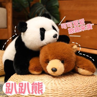  Búp Bê Gấu Mềm Búp Bê Gấu Đồ Chơi Trẻ Em Sang Trọng Đồ Chơi Trang Trí Nhà Cửa Quà Tặng Ngày Lễ 