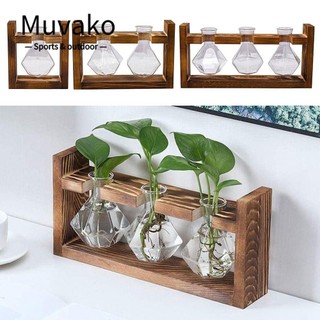 Muvako Bình hoa thủy tinh, Cây cảnh trang trí khung gỗ Bình thủy canh, Chậu hoa trong suốt thời trang Trang trí để bàn