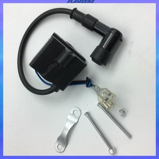 Cuộn dây đánh lửa CDI s cho 50cc 60cc 66cc 80cc để sử dụng