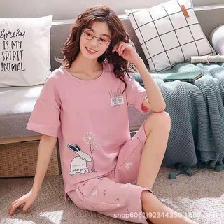 Bộ mặc nhà nữ, set bộ thun lửng chất cotton co giãn mặc nhà dễ thương nhiều màu đủ size Zenkonam WQA 037