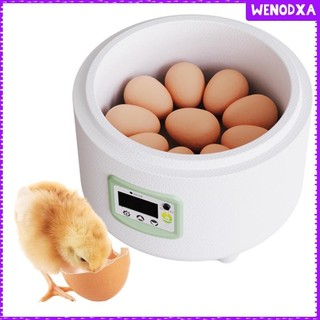 Máy ấp trứng Máy ấp trứng đa năng bằng điện cho chim Vịt cút