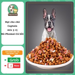 Thức Ăn Cho Chó Pet Captain Gói 1Kg