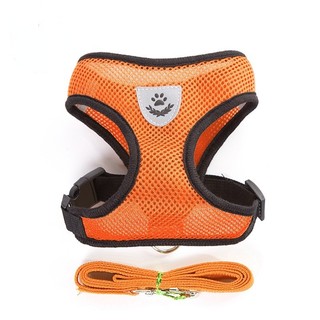 Bộ Dây Dắt Thú Cưng Phản Quang Thoáng Khí