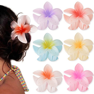 Ahellogirl Yi Mengling Cùng Phong Cách Màu Frangipani Kẹp Tóc Nữ Bauhinia Đi Biển Ảnh Phụ Kiện Tóc