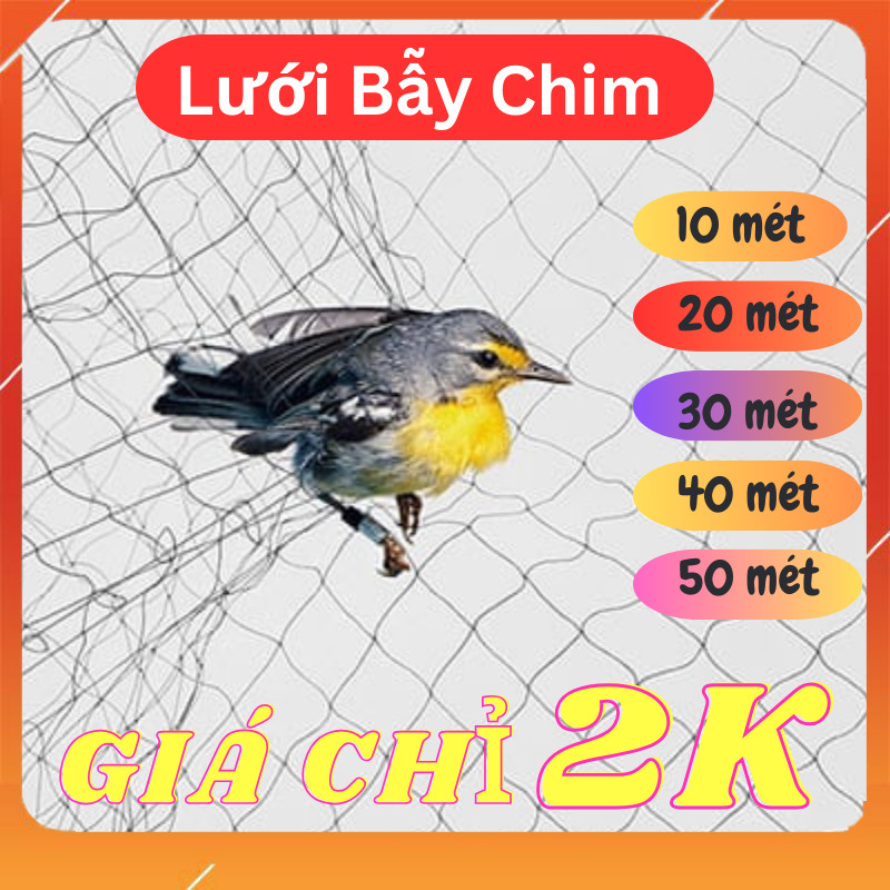 Lưới bẫy chim tàng hình Thái Lan cao 5m đủ size 10m đến 50m từ chào mào, sẻ, cu gáy, cò, ...- Tổng Kho MY SACHI