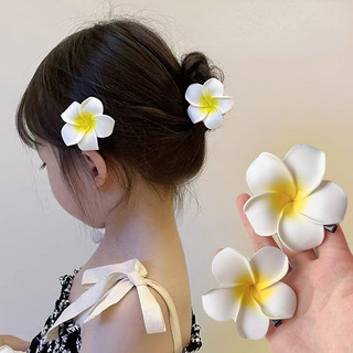 KẸP TÓC HOA ĐẠI - KẸP TÓC HOA SỨ  CFH